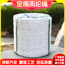 Safety sub-rope Tied rescue rope Soft wear-resistant polypropylene nylon brake tied cargo rope Full woven polypropylene rope