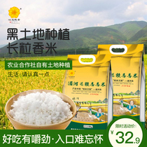Northeast Rice Fragrant Rice 10 kg Japonica Rice 5kg Long Grain Rice Northeast Fragrant Rice New Rice Long Grain Fragrant Rice