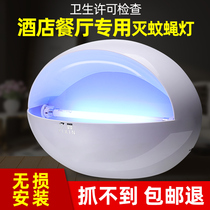 Sticky Trap and Fly Lamp Restaurant Restaurant Hotel With Mosquito Killer Lamp Commercial Restaurant Shops Canteen Luticus Disenchanter Deity