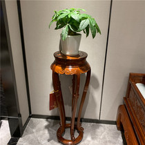 Big fruit red sandalwood (Pterocarpus macarocarpus) three curved flowers a few