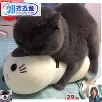 Pet male and female cat sex venting toys simulation cat male cat estrus period accompany sleeping sex simulation partner