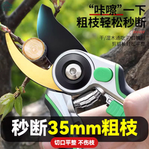 Flower cutting flowers for cutting gardens branches flowers trimming and scissors flower gardening gardening