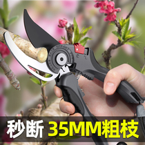 German scissors trimming trim cutting trim flower branches stainless steel tool fruit tree saving gardening special