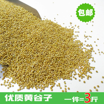 New yellow millet with Shell millet tiger skin peony Xuanfeng small and medium-sized parrot bird food bird feed 3kg