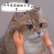 Douyin small gloves toy cat tricky open finger set five fingers fake hand roll cat silicone model spoof