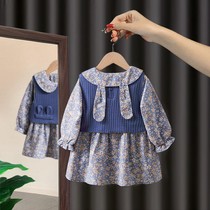 Girl spring suit 2021 new baby girl baby girl Foreign Princess 1 two-piece dress 3-year-old child autumn