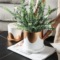 Nordic style hand-painted ceramic straight tube with tray fleshy green plant cactus plant flower pot home homestay Universal
