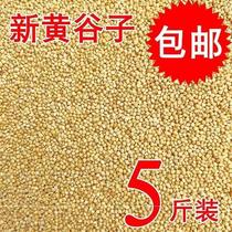 Black bird feed Birds eat food Sparrows bird feed parakeets pigeon pellets 2019 shelled birds with 