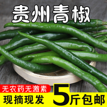 贵州农家自种二荆条辣椒新鲜5斤装红线椒尖椒中辣尖椒长辣椒青椒