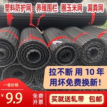 Household pigeon fence breeding chicken cage duck breeding net fence net hanging net thickened whole roll fence net poultry