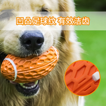Dog toy bite-resistant ball large dog golden Labrador side pastoral alone voice bite Pet Relief self-hi