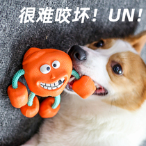 Dog toy bite-resistant ball grinding teeth sound rubber to amuse pet dog teddy border herder dog ball puppy boredom artifact