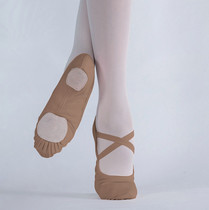 Brand new brown brown full stretch soft ballet shoes no lace-up womens practice shoes cross-border cat claw shape