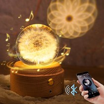 Yongshenghua music box Net Red couple Music Box Net Red couple dandelion crystal ball music box night light Bluetooth