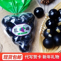   Japan imported Mount Fuji giant peak grape jelly pudding Net Red raisin balloon pudding sweet spot