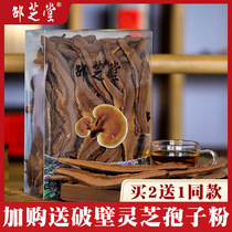 Dabie Mountain Jinzhai imitation wild purple Ganoderma chip black Ganoderma lucidum non Changbai Mountain Linzhi powder spore powder Dou Longzhi 250g