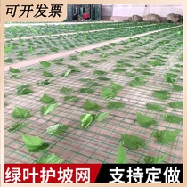 Mine Greening Hillside Covering Mountain Cover Slope Green Plant Simulation Leaves Regreening Protection Barbed Wire Green Leaf Net