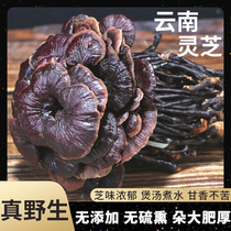Yunnan bamboo Ganoderma lucidum dry goods authentic Linzhi red Ganoderma lucidum purple Ganoderma chips 250g bulk wild Ganoderma lucidum purple lucidum