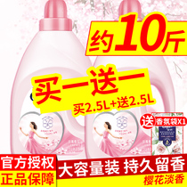  Gold spinning care agent Clothing fabric softener Elegant cherry blossom fragrance 2 5L*2 fragrance bag 20g family affordable pack