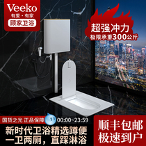 Veeko Gujia Bathroom squat toilet Household water tank set Bathroom with cover urinal squat pit toilet squat toilet