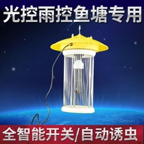 Insect lure lamp Breeding fish pond outdoor solar insecticidal moth orchard pest control DC 12V purple black light lamp