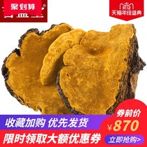 Jishengtang Mulberry Mulberry Mulberry spp. Wild growth of Phelen Wang Ganoderma lucidum 250g