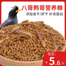 Brother feed bird feed nutrition Jacko bird food sea eight black eight special bird grain bird food bird feed 5kg pack