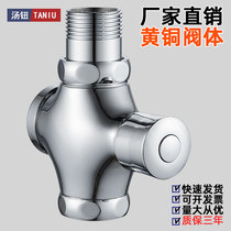 Hand press type squatting pan flush valve toilet full copper time-lapse flusher large urinal flush valve squatting switch