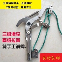 Shears Shears Shears Shears Shears Shears Shears Shears shears shears shears shears shears shears shears shears shears