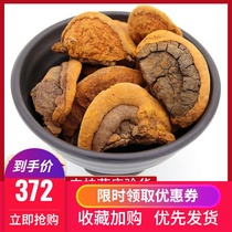 Wild Phellinus Mulberry Phellinus Phellinus Tibetan Phellinus 250g provides sliced pruned wild Phellinus Ganoderma lucidum