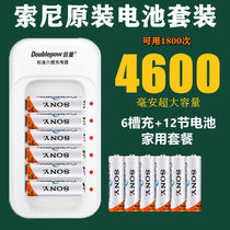 Sony No 5 rechargeable battery AA7 No 5 Rechargeable battery Charger Microphone Radio Toy 4600 mAh