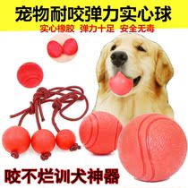 Dog Toys Bite Resistant Blow Ball Mines Dog Toys Pet Toys Rubber Ball Golden Hair Teddy Dog Toys Training Ball