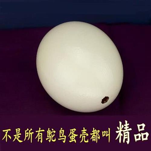 Natural large a ostrich eggshell crafts carving DIY raw materials camel bird eggshell dinosaur egg Easter egg