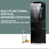 Vertical water dispenser Multifunctional ice maker Small