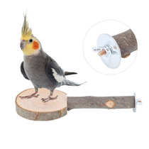 Parrot Standing Platform Natural Applewood Pet Perch Stand