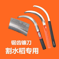 German imports sharp stainless steel serrated sickle cut rice agricultural mowing straw knife small saw sickle special cut