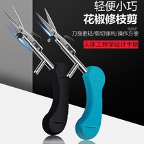 Pick pepper special scissors Pick fruit pick fruit cut bud tip Pick vine pepper pepper wolfberry branch cut gardening pruning branches