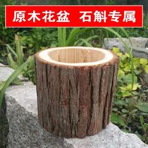 Natural solid log flowerpot balcony landscaping planting Dendrobium candidum meat indoor living room creative stump cylinder