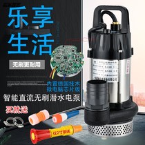DC 12v24v48v60v DC submersible pump High lift household battery car pump Agricultural pump