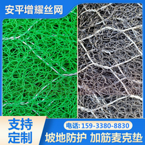 Reinforced Mike mat flame retardant Gobin net gabion net gabion net soil and water protection blanket guest soil spraying mountain slope protection shotcrete hanging net