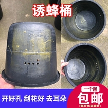 Booby Bucket Water Trapping Earth Wasp Beehive Black Plastic Bucket Honeybee Beehive Beehive Beeswax Wild Sebubee Beehives