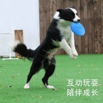 Dog Frisbee Pet Toys Frisbee Dog Silicone Bite Resistant Frisbee Floating Training Toys