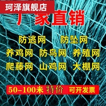 Chicken fence net chicken net chicken fence net poultry breeding net Orchard protective net Orchard nylon fish net