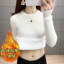 One velvet round neck sweater womens interior jacket autumn and winter sweater New 2021 plus velvet padded base shirt top