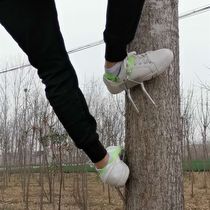 Climbing artifact on the tree special tool foot tie cat claw shoes big crutches iron shoes stainless steel non-slip catch honeycomb