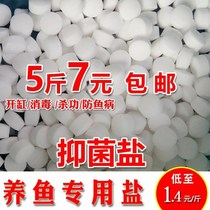 Water purification salt aquarium fish tank pond fish pond purification clear water quality ball salt Salt Fish Big salt