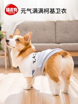 Corky Dog Clothes Spring and Autumn Thin Teddy Bears Bears Bomei Pet Autumn Clothes Small Puppy