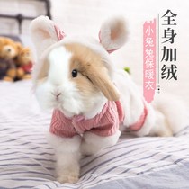 Rabbit clothes to keep warm in winter pet bunny clothes thick velvet Rabbit Rabbit winter special supplies