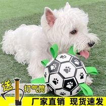 Dogs football Toys pets Interactive balls resistant to grinders Toothware Jinwokki Big small dogs throw an elastic ball