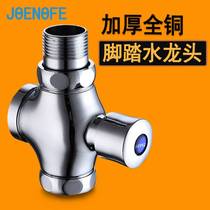 Sophia crouch toilet pool pressing flush valve handpress tap stain flush valve switch